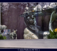 13- Амба 4.jpg
