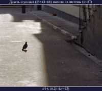 61а-.jpg
