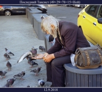 162- посл таксист.jpg