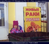 175- раки.jpg