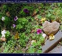 290-.jpg