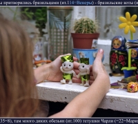 355-.jpg