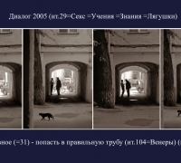 392-.jpg