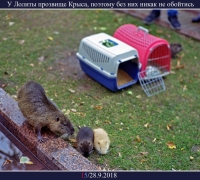 424-.jpg