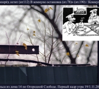 453-.jpg
