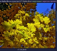 466-.jpg