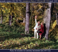 475-.jpg