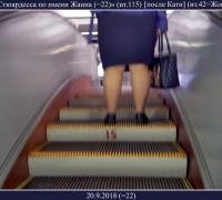 490-.jpg