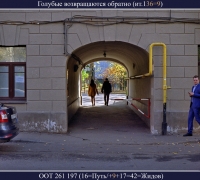 516-.jpg
