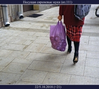 708-.jpg
