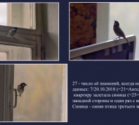 759а-.jpg