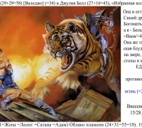 0 ж Тигр.jpg