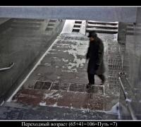 403 Переходный возраст.jpg