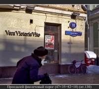 495 Преодалей фиол порог.jpg