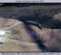 511 Темнотища.jpg