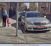 561 Моя весёлая СМЕРТЬ.jpg