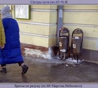 591 Братья по разуму.jpg