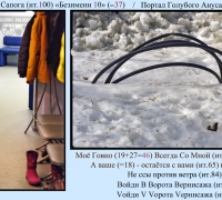 592 Ждун ворота.jpg