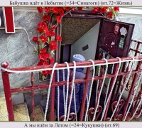 595 Бабушка в небытие.jpg