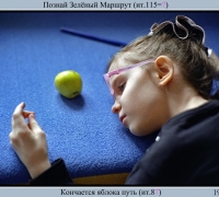 597 Кончается яблока путь.jpg