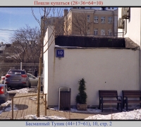 633 пошли купаться.jpg