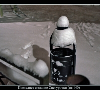 636 Последнее желание Снегу.jpg