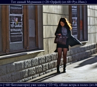 703 Ищи ветра в поле.jpg