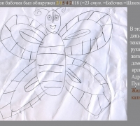 714 Бабочка.jpg