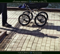 731 Родила царица в ночь.jpg