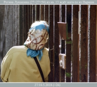 817 Регина.jpg