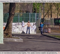 881 Дубль с очками.jpg