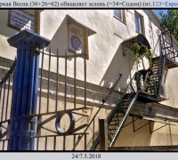 884 Роза Безимени-5.jpg