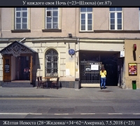 912 Жёлтая Невеста.jpg