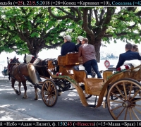 924 Свадьба.jpg