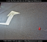 1012 А мог бы быть как Бог.jpg