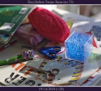 1117 Под небом тигра.jpg