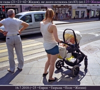 1177 Живите гады немного ост.jpg