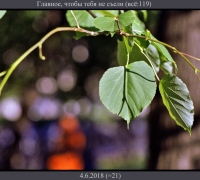 1194 Чтобы не съели.jpg