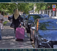 1199 Мои Сиреневые мечты.jpg