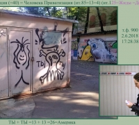 1232 Чипизация.jpg