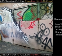 1237 В саду Лук 2.jpg