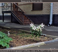 1267 Знаки пути Лилит.jpg