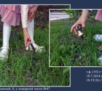 1279 а Бьёт колокол.jpg