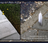 1291 Письма издалека.jpg