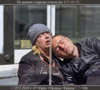 1305 Сон по разн стор стекла.jpg