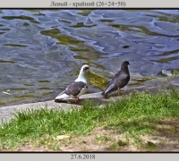 1330 Левый крй.jpg