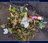 1391 а Чудо Пустоты.jpg