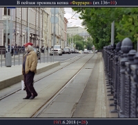 1401 В пейзаж проник.jpg