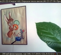 1413 Ударная группа.jpg