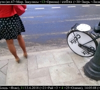 1467 зверям по-пути 1.jpg